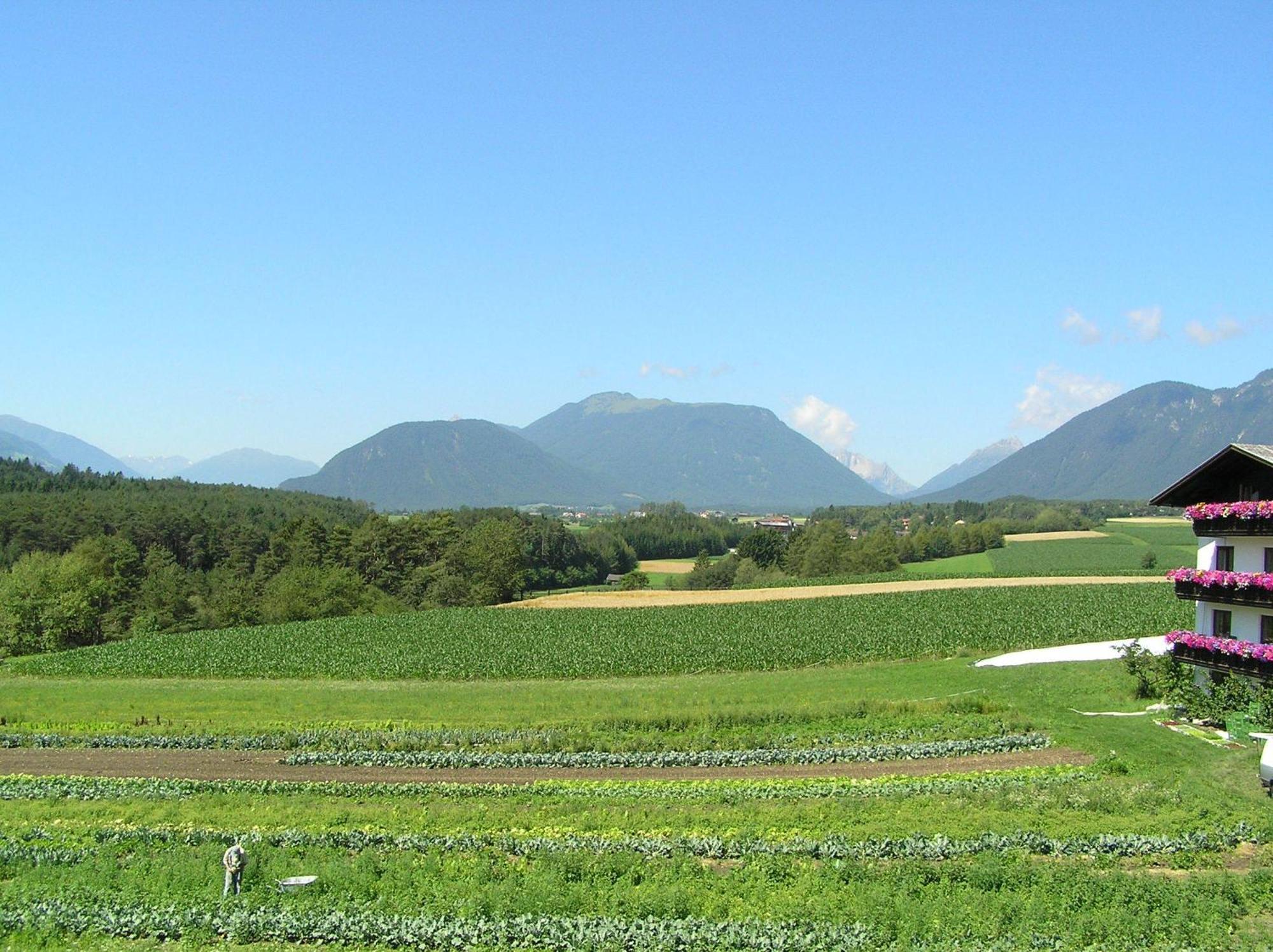 Zauscherhof Wildermieming Exterior foto