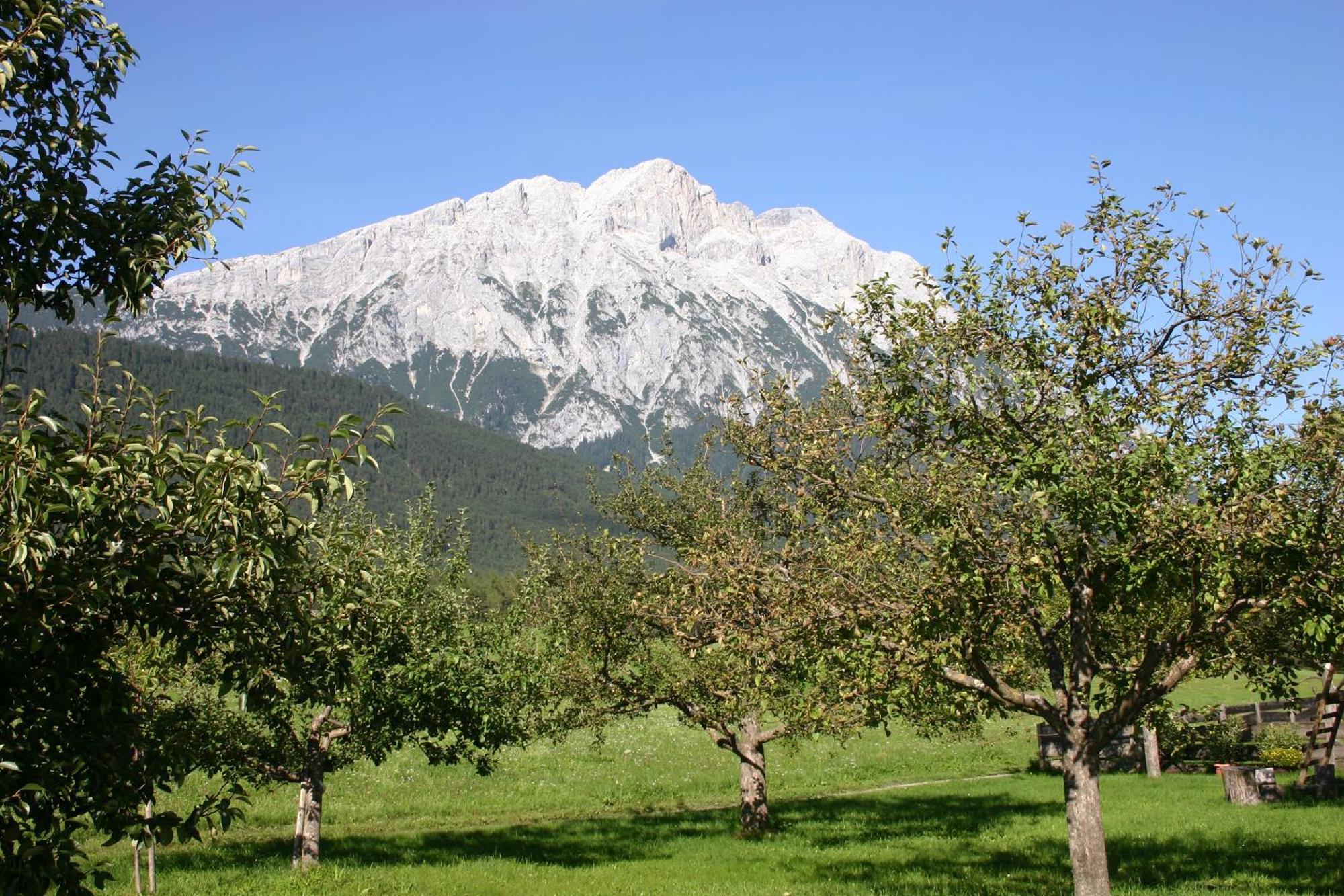 Zauscherhof Wildermieming Exterior foto